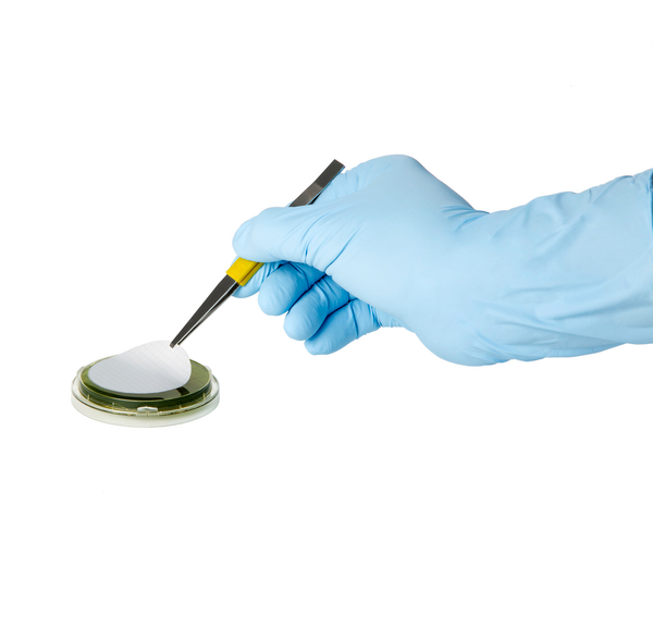 READYPLATE 55 PLATE COUNT AGAR